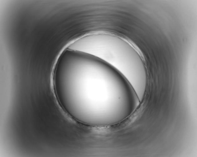 X0000099380813200805081158