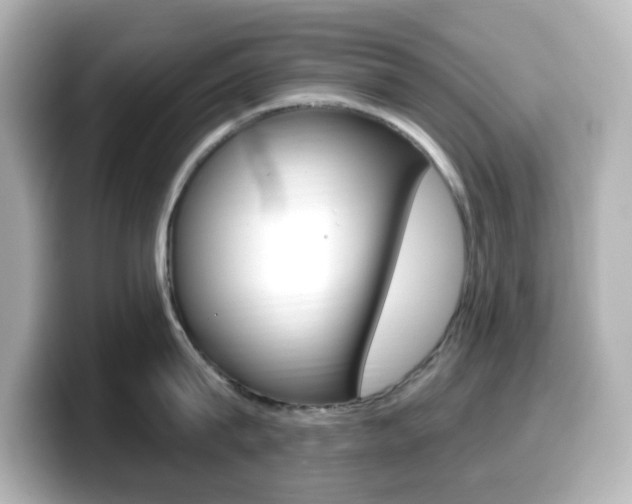 X0000099380815200805081158