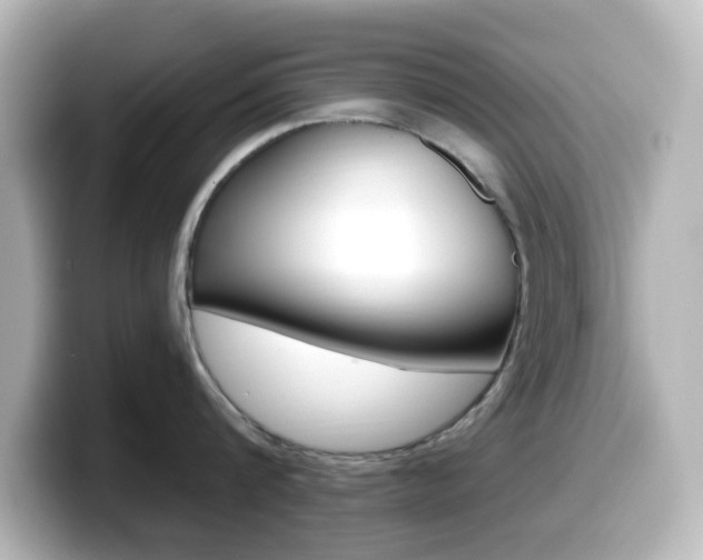 X0000099380816200805081158