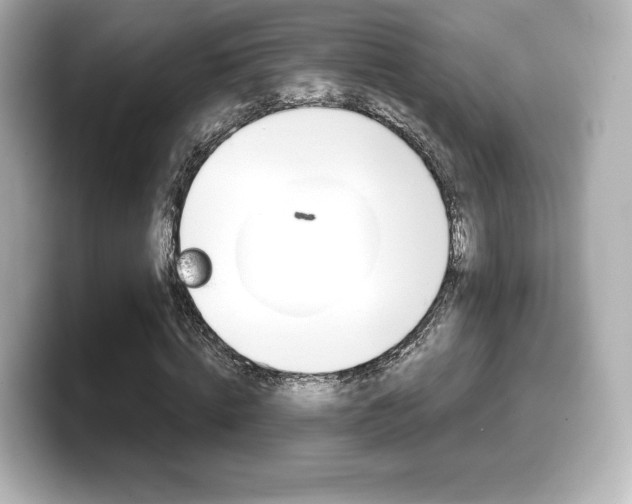 X0000099380820200805081157