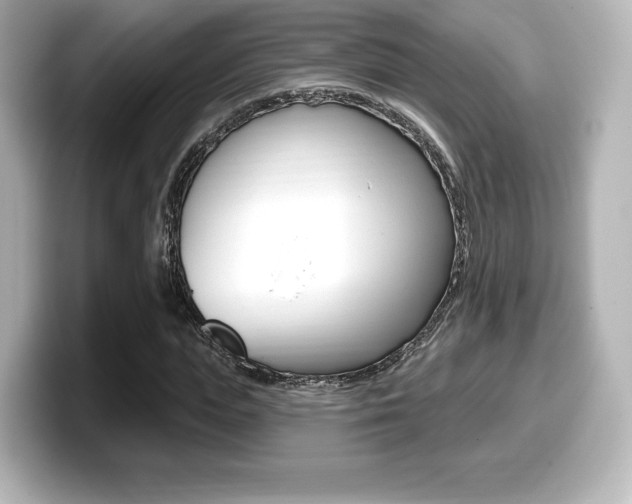 X0000099380823200805081157