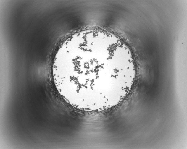 X0000099380824200805081157
