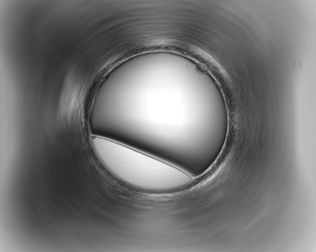 X0000099380825200805081157