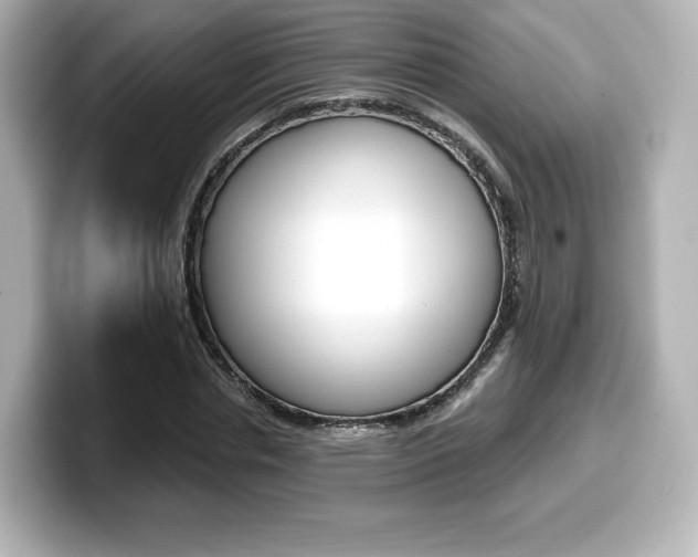X0000099380826200805081157