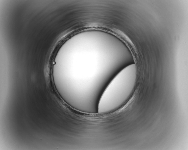 X0000099380831200805081157