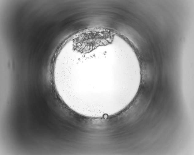 X0000099380832200805081157