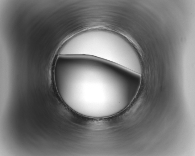 X0000099380834200805081157