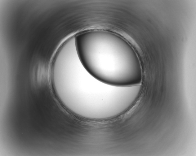 X0000099380838200805081157
