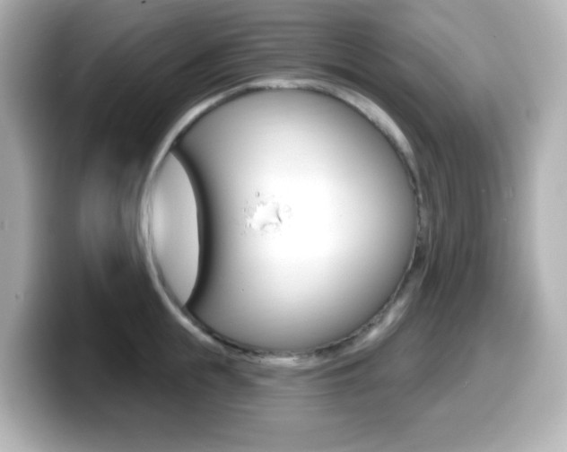 X0000099380855200805081158