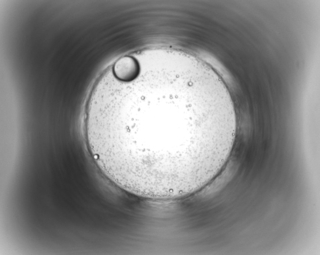 X0000099380856200805081158