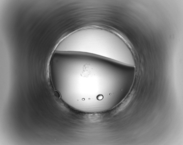 X0000099380858200805081158