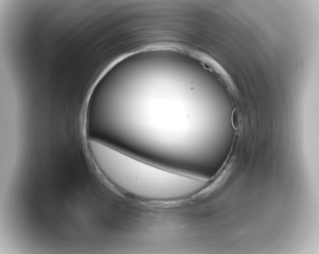 X0000099380860200805081158