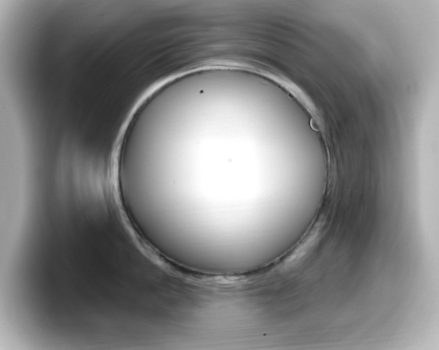 X0000099380862200805081158