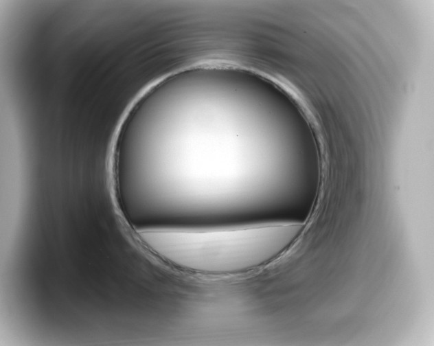 X0000099380864200805081158