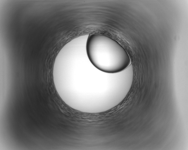 X0000099380868200805081157