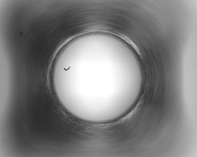 X0000099380877200805081157