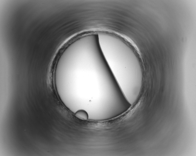 X0000099380879200805081157