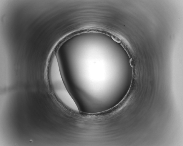 X0000099380880200805081157