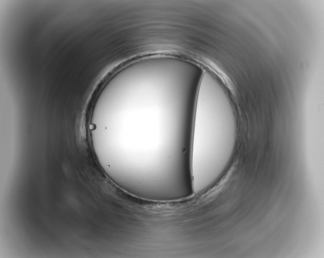 X0000099380883200805081157