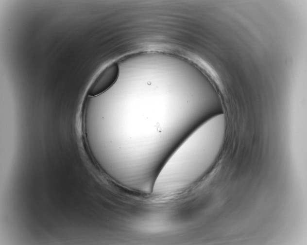 X0000099380891200805081157
