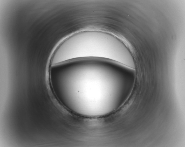 X0000099380896200805081157