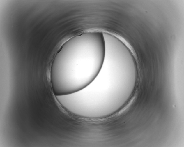 X0000099380905200805081156