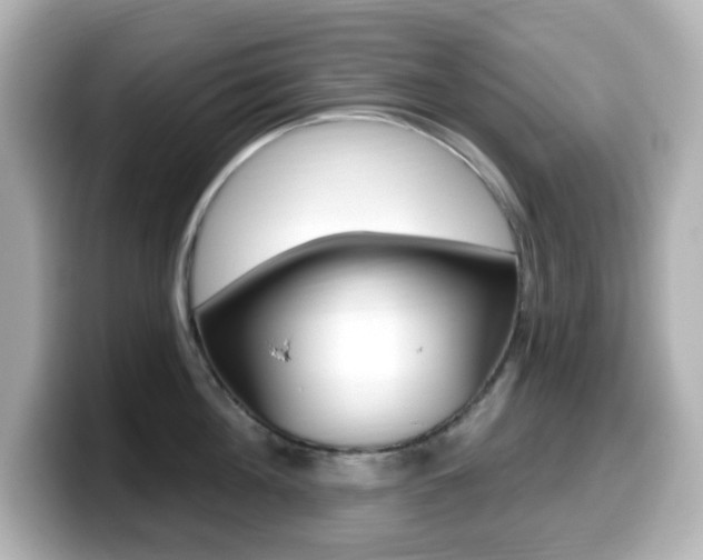 X0000099380908200805081156
