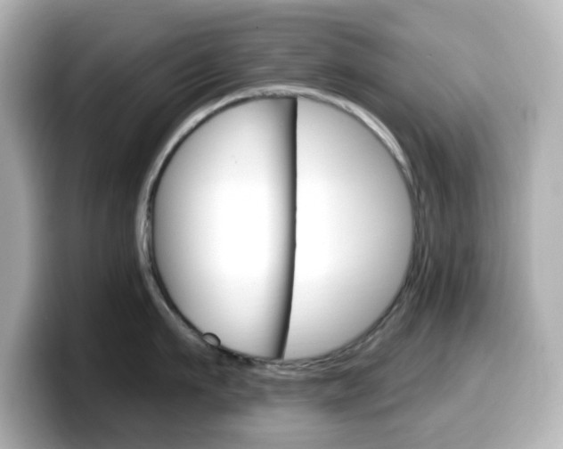 X0000099380911200805081156