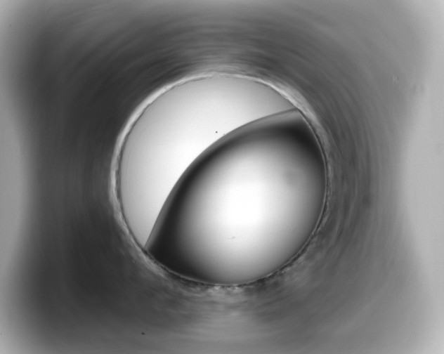 X0000099380912200805081156
