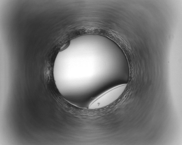 X0000099380914200805081156