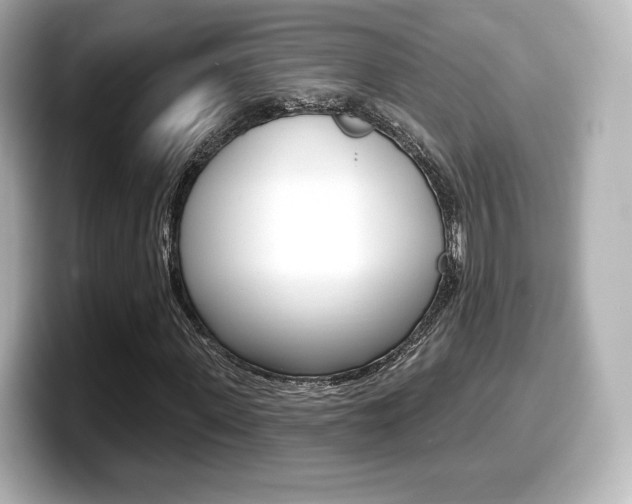 X0000099380915200805081156