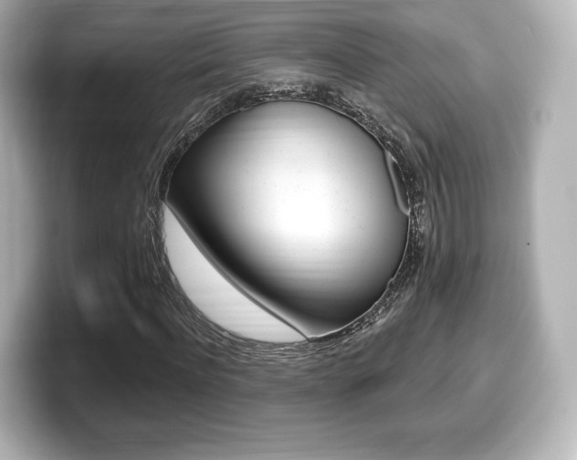 X0000099380916200805081156