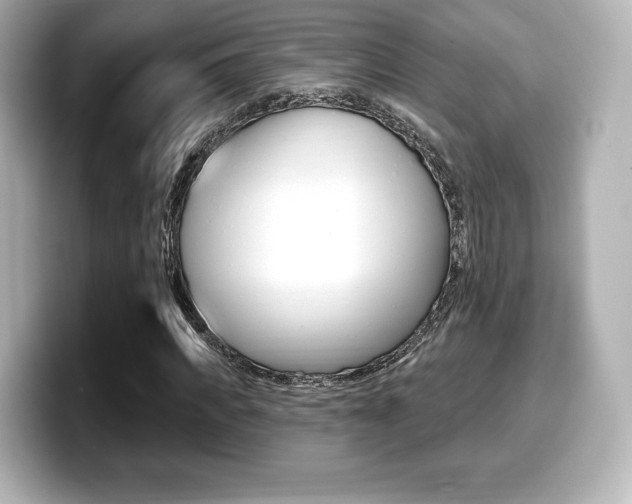 X0000099380917200805081156