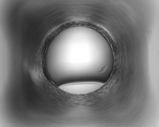 X0000099380919200805081156