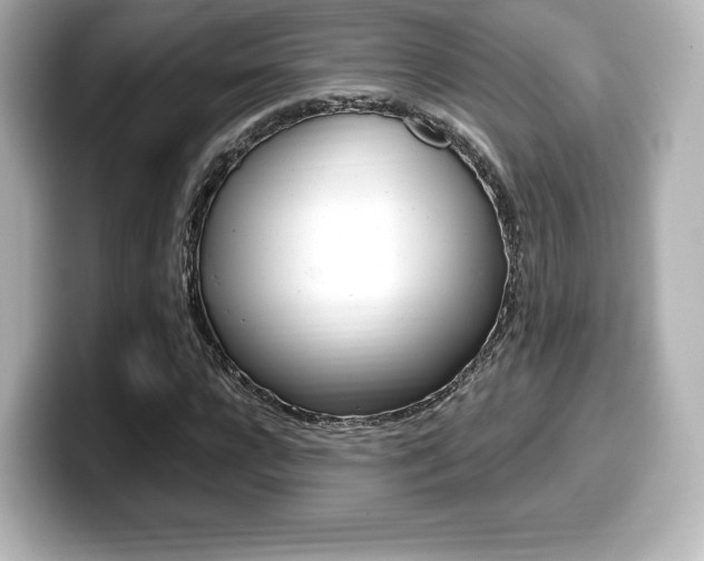 X0000099380920200805081156
