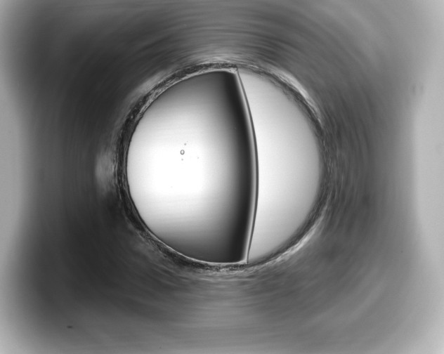 X0000099380922200805081156