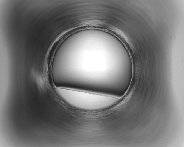 X0000099380923200805081156