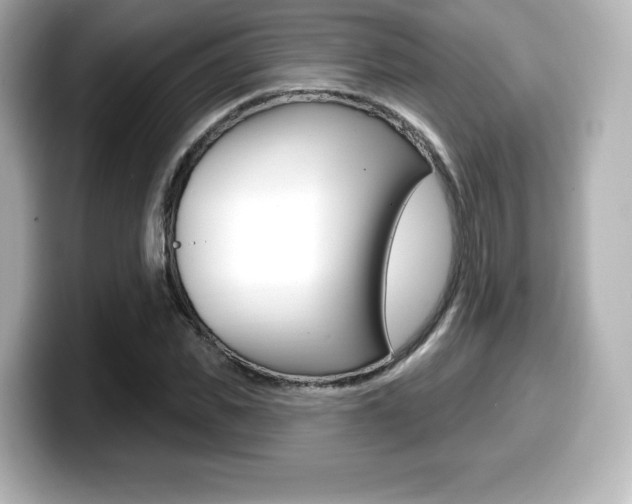 X0000099380925200805081156