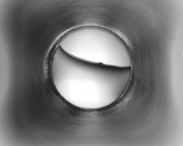 X0000099380926200805081156