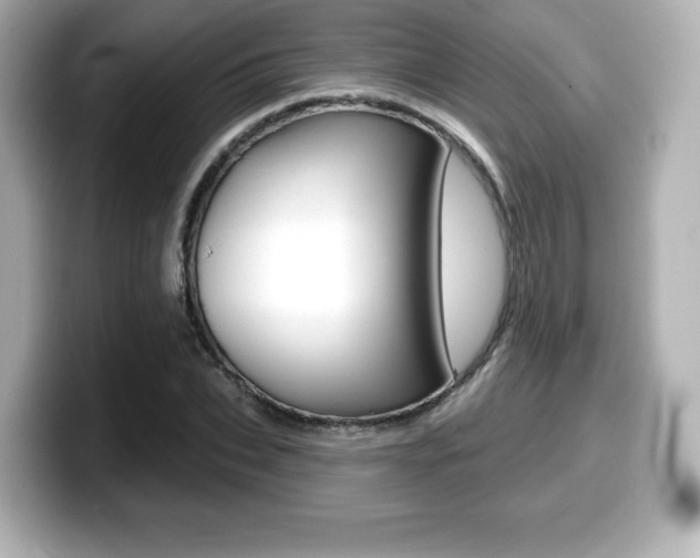 X0000099380927200805081156