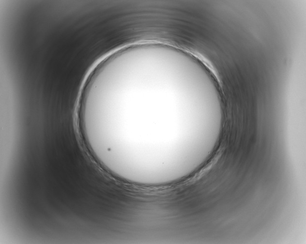 X0000099380928200805081156