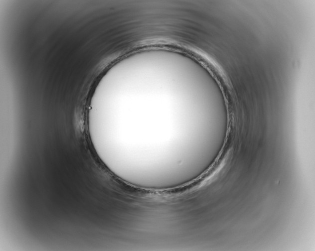 X0000099380929200805081156