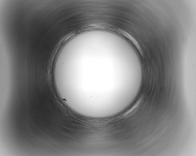 X0000099380930200805081156