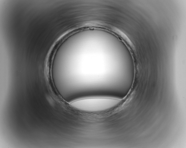 X0000099380931200805081156