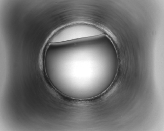 X0000099380934200805081156
