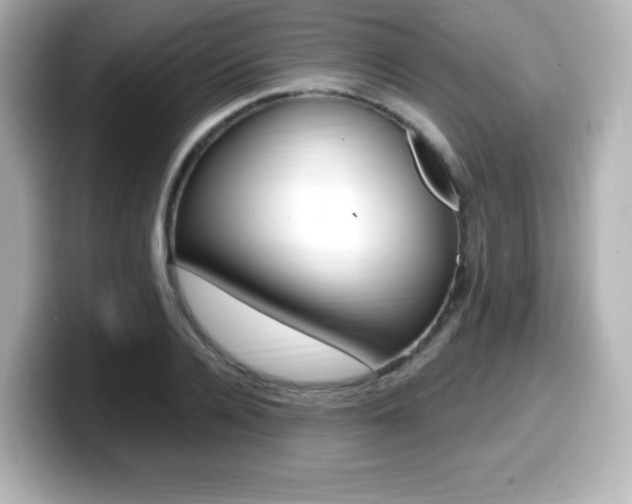 X0000099380936200805081156