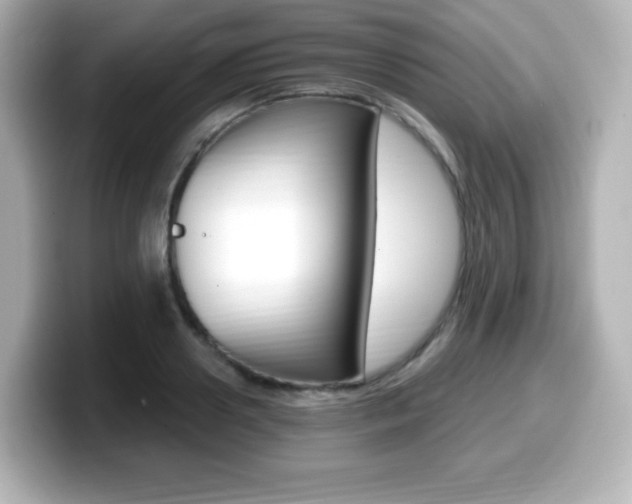 X0000099380938200805081156
