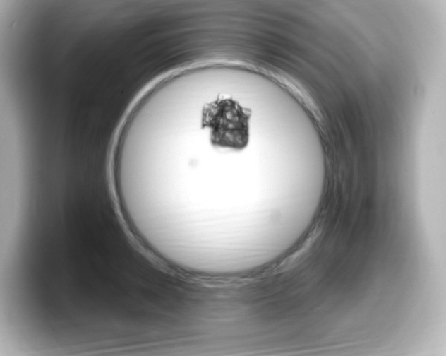 X0000099380942200805081156