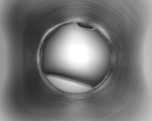X0000099380944200805081156