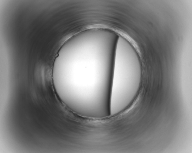 X0000099380945200805081156
